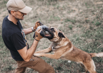 The Meaning Behind Your Dream About a Dog Biting You