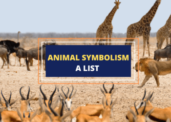 Discover the Top 10 Animals That Symbolize Strength