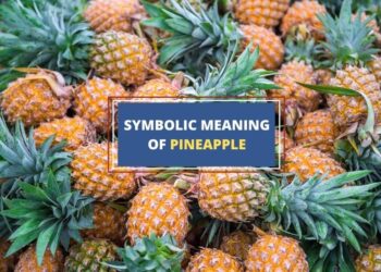 Spiritual Meaning of Pineapple Symbolism