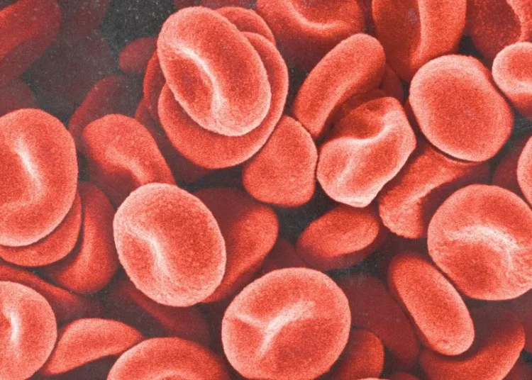 Spiritual Meaning of Seeing Period Blood in Your Dreams