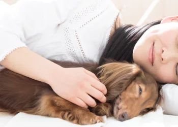 The Biblical Meaning of a Dog in Your Dream