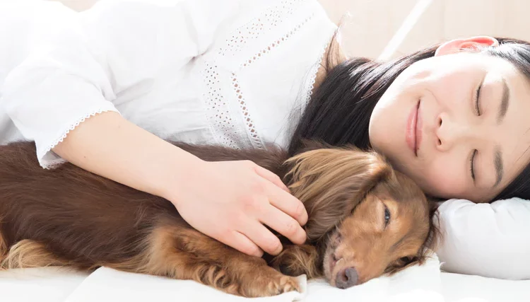 The Biblical Meaning of a Dog in Your Dream